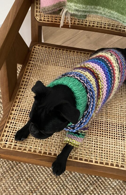 hundegenser strikkeoppskrift