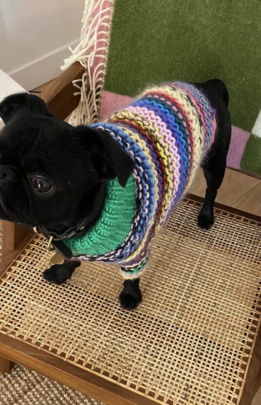 strikkeoppskrift genser hund