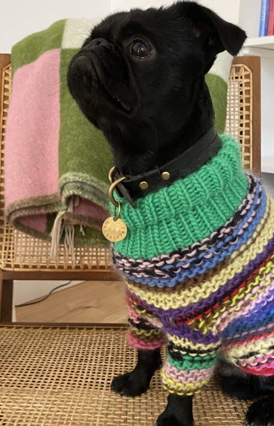 strikkegenser hund oppskrift