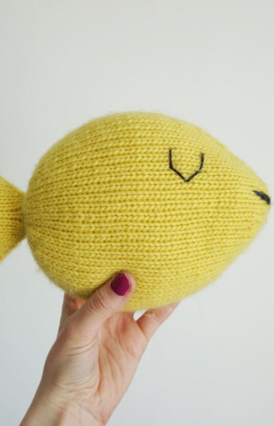 Fish toy knitting pattern