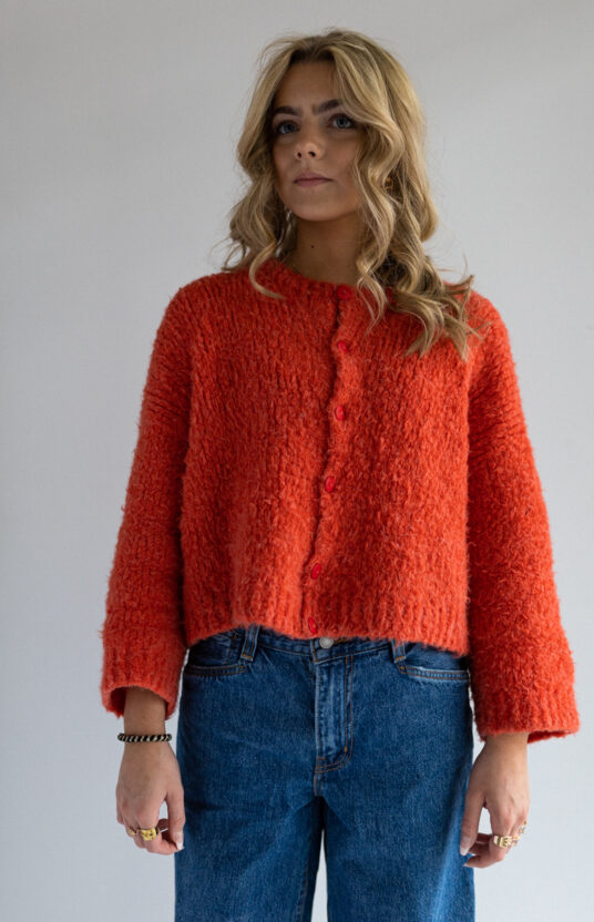 Berry cardigan garnpakke